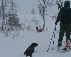 2009 Vinterjakt Skorovass